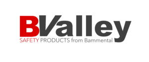 LOGO_BValley_standard